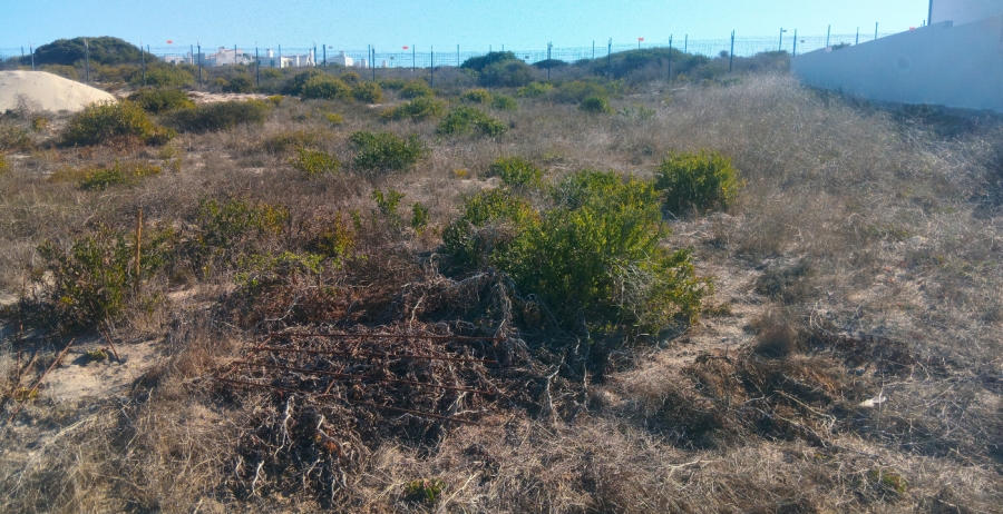 0 Bedroom Property for Sale in Laguna Western Cape